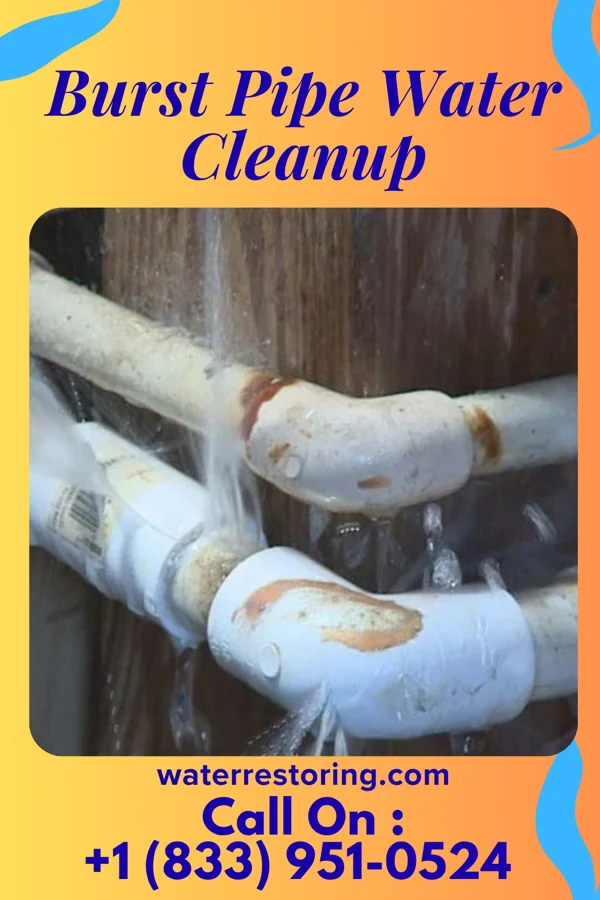 Burst Pipe Water Cleanup in Rosemont, MD