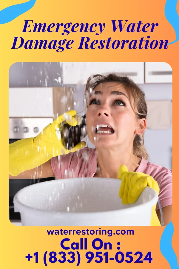 Emergency Water Damage Restoration in Rosemont, MD