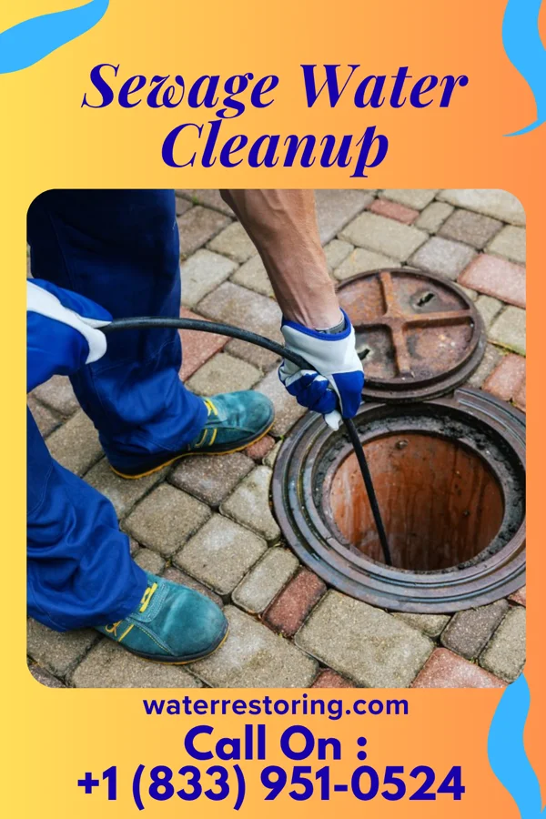 Sewage Water Cleanup in Rosemont, MD